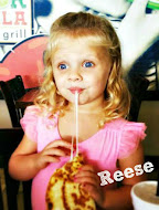Reese is our 4 year old, sweet, spicy, feisty gal who doesn't take anything from anyone!