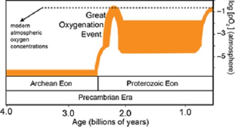 Nitrogen Revolution: Study breathes new life into 2.3 billion year old ‘Great Oxidation Event’ Nitrogen Revolution: Study breathes new life into 2.3 billion year old ‘Great Oxidation Event’