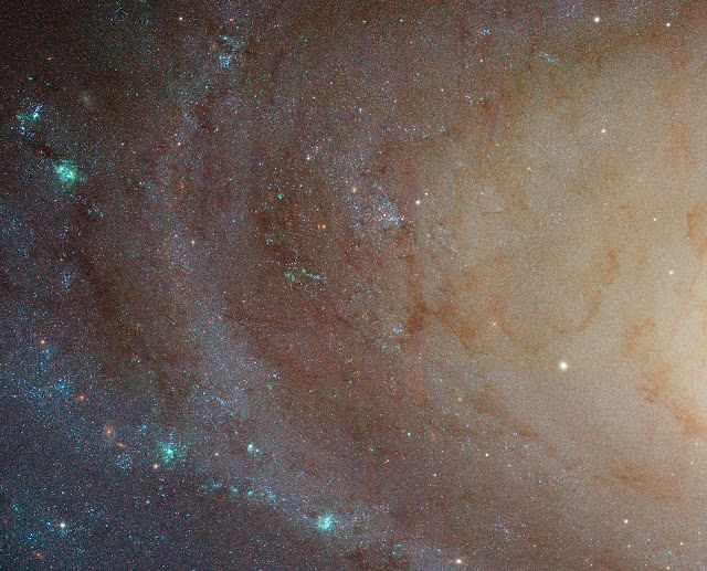 Bulge-disk transition in M81 and chain of HII regions