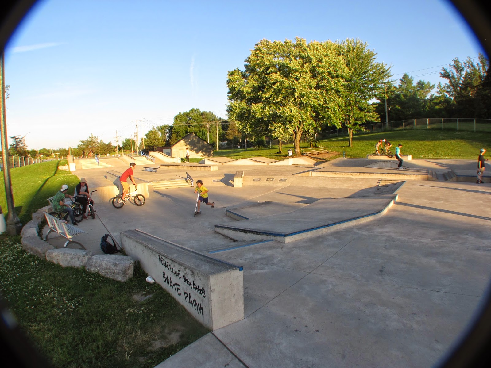 Spott Dreams of Skate Parks Belleville, ON