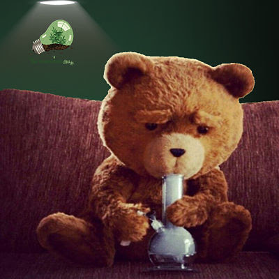 Fumar bong marihuana Fumar bong marihuana