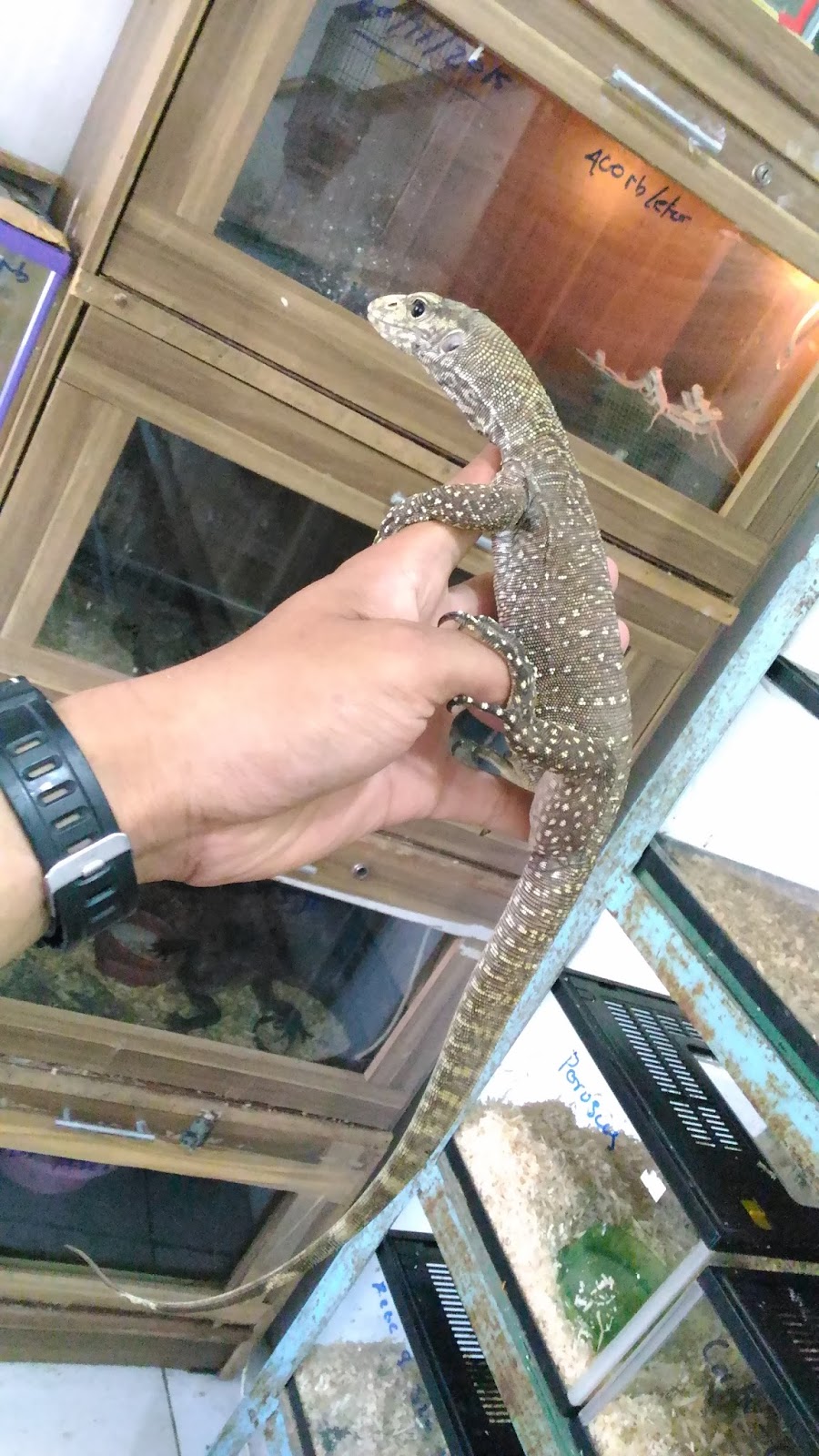 Luak Kampus Petshop