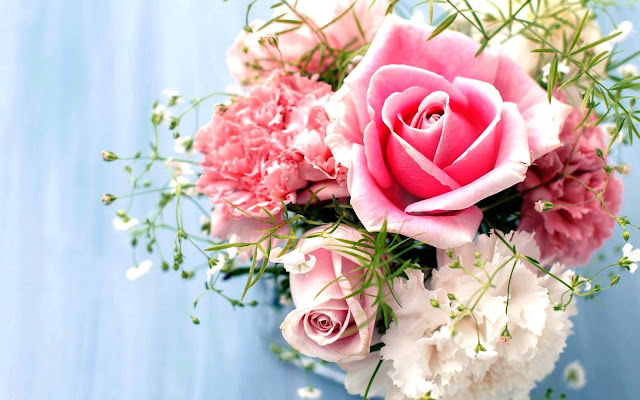 rose day whatsapp rose day whatsapp