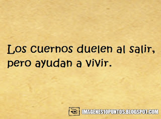 frases que duelen frases que duelen