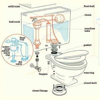 Parts Diagram of a Toilet