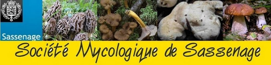 Mycologie Sassenage