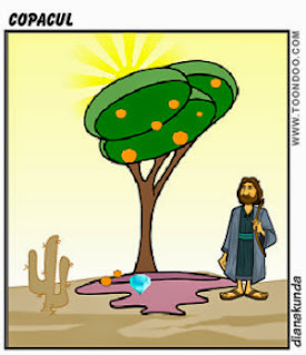 desen: un copac si un om in desert
