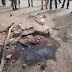 Graphic photos from the scene of the suicide attack in Maiduguri
