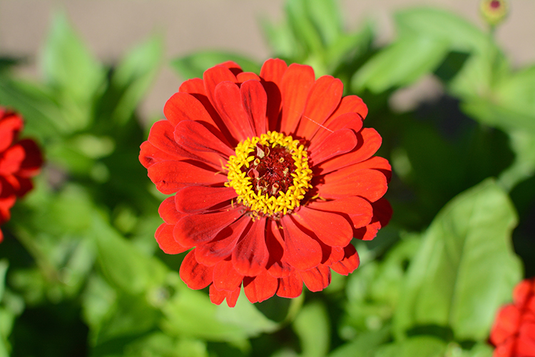 The Farm, Door County | My Darling Days The Farm, Door County | My Darling Days