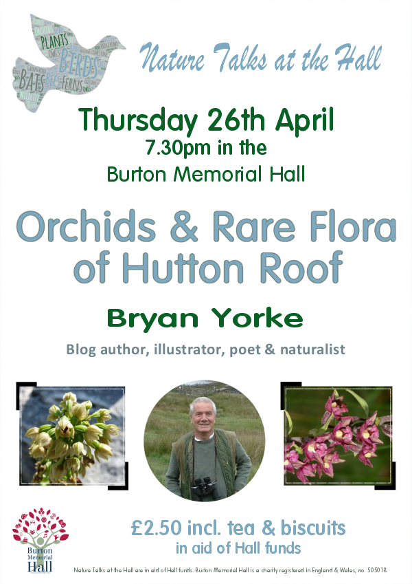 Orchids and Rare Flora of Hutton Roof