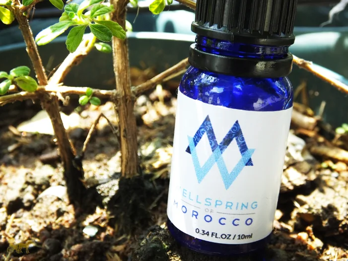 Moroccan Argan Oil - Wellspring