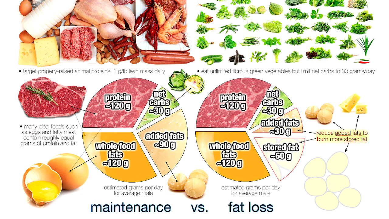 High Protein Foods For Weight Gain Protein Choices
