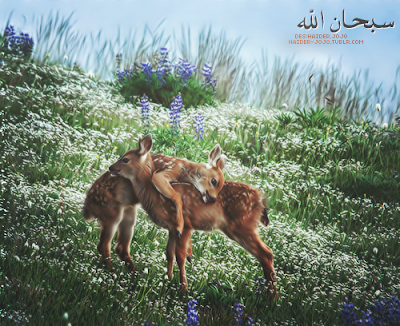 tumblr_inline_mtp48wITtj1s57arv