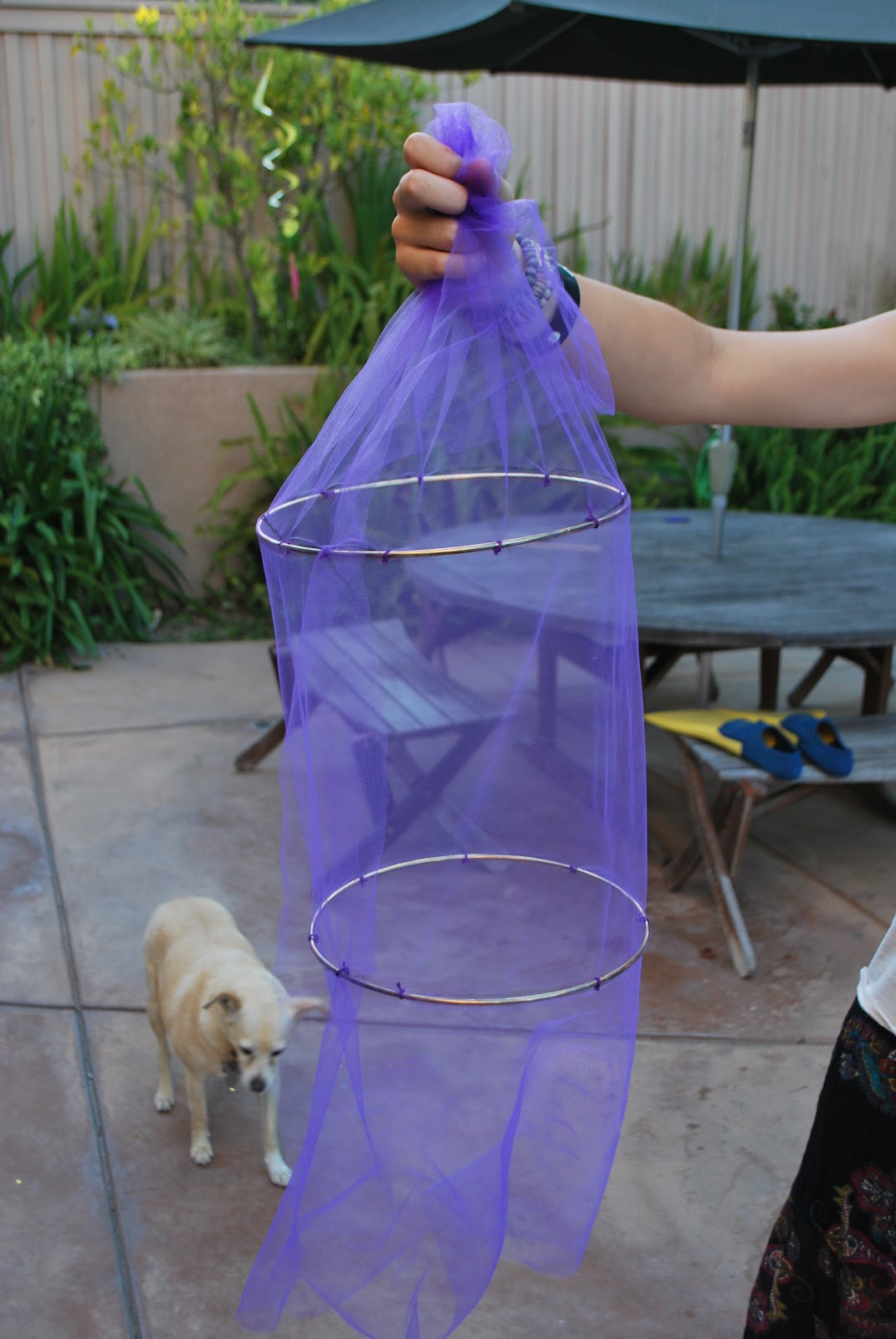 Crafty Tutorials Butterfly Enclosure