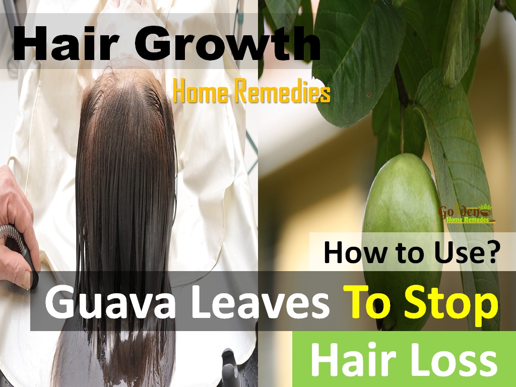 How Guava Leaves Stop Hair Fall And Promotes Hair Growth Fast