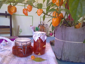 pomodorini conservati sotto aceto