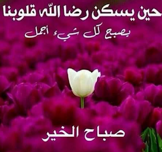 صور ورد صباح الخير , صباح الورد مكتوبة على صور , صباح الخير مع صور ورد