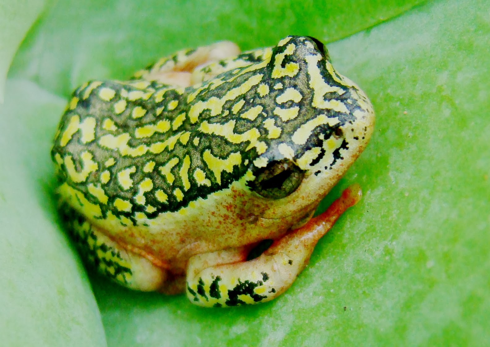 Environmental Rehabilitation and Indigenous Landscape Design