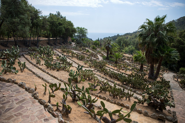 Jardin Botanico Tropical Pinya de Rosa Blanes - Парк кактусов Бланес