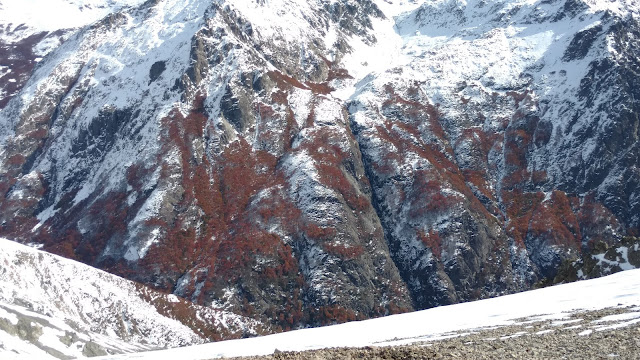 ridge view of Patagonia