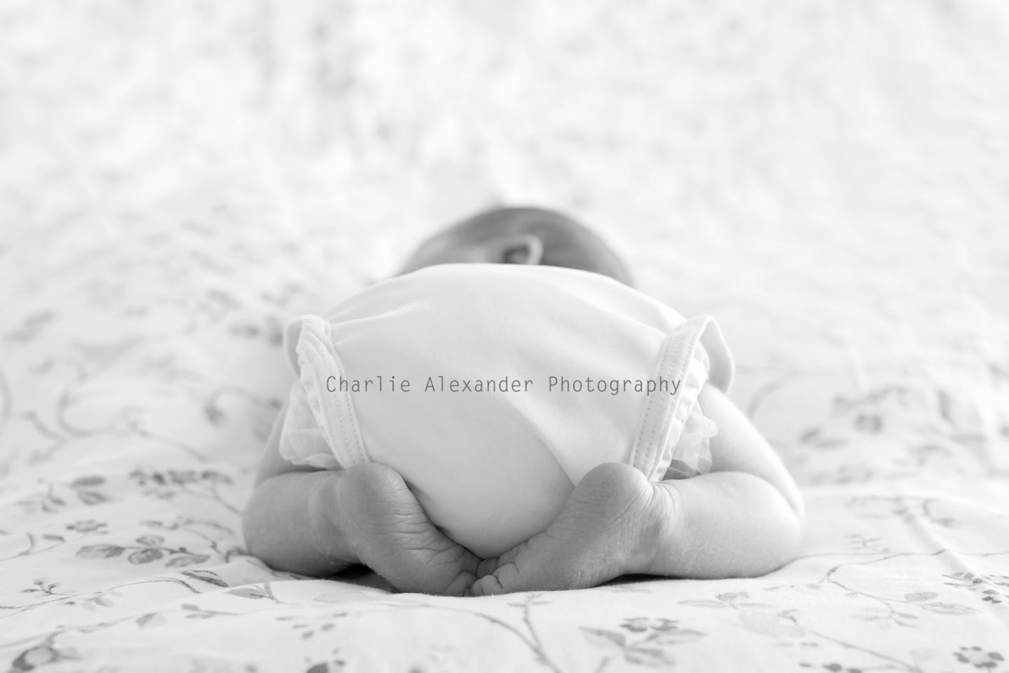 Learning Lessons in Mummyography Baby Girl Isla Paige...