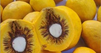 Nativa do Cerrado: Por que o Pequi tem espinho?