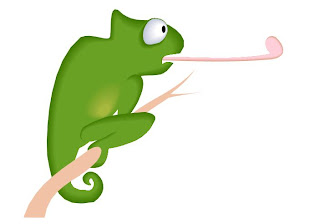 Kim Bowman Author: COMMA CHAMELEON