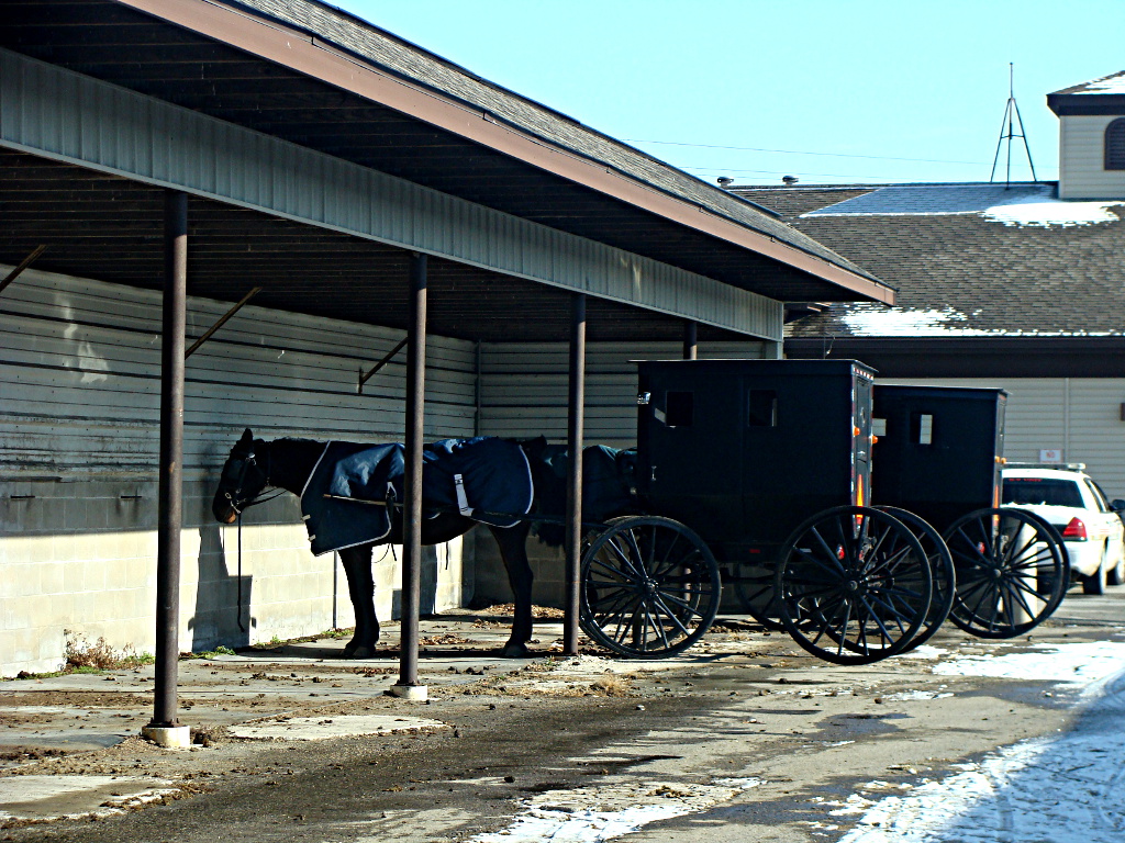 Ein Ostfriese in Amerika: Amish Country