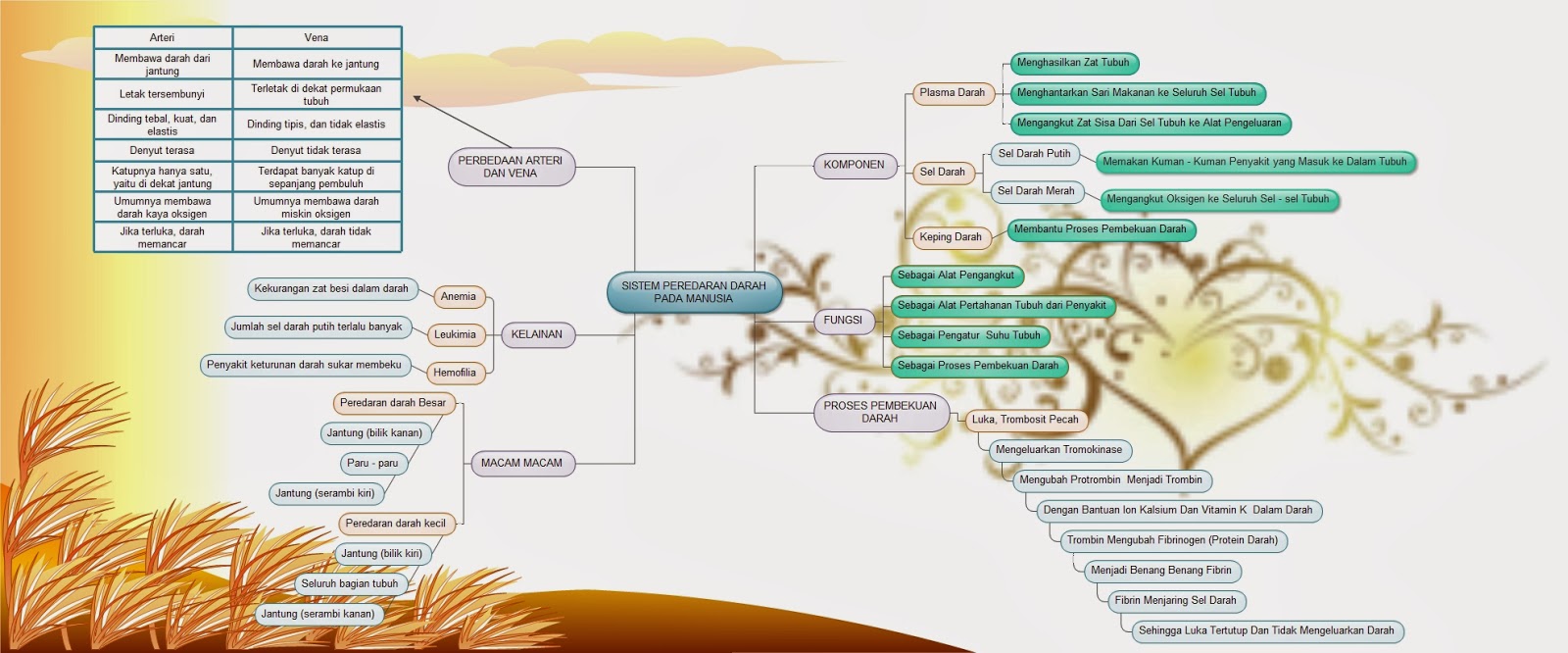 Treppenwitz!!!: Mind Map Biologi Tentang Sistem Peredaran 