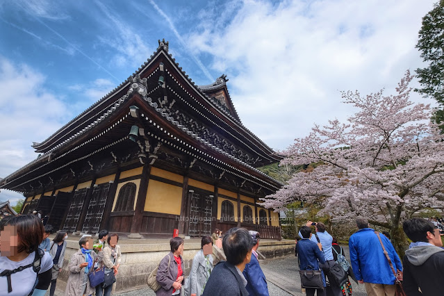 Nanzenji Temple ซากุระ เกียวโต