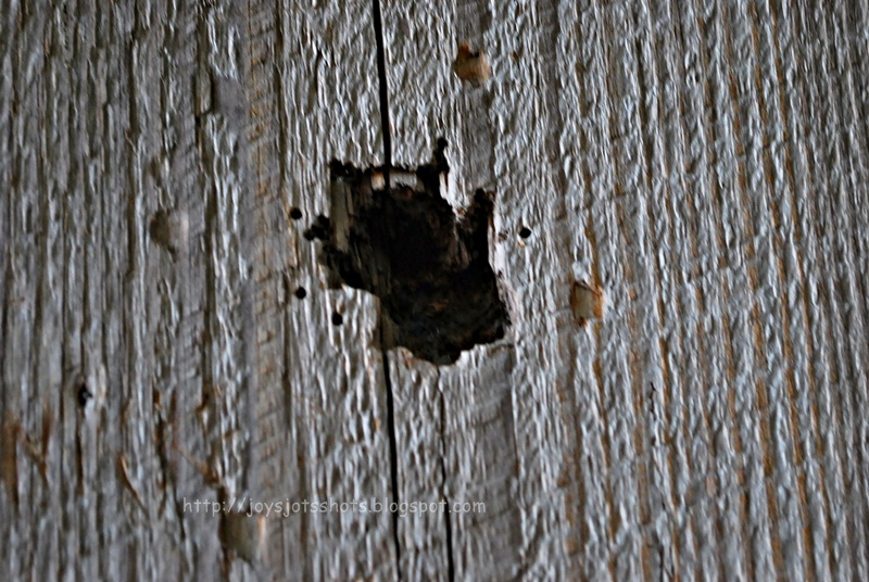 Joy's Jots, Shots & Whatnots Anatomy of a Covered Bridge