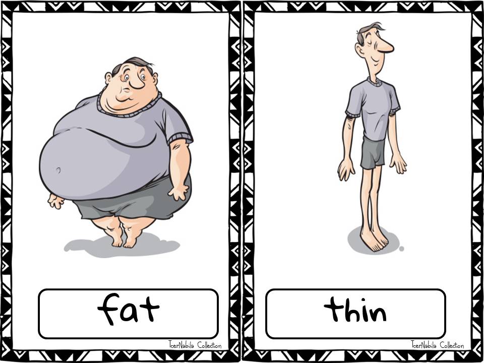 Tall short fat thin. Thin fat для детей. Small thin fat для детей. Fat thin на английском. Картинки fat thin.