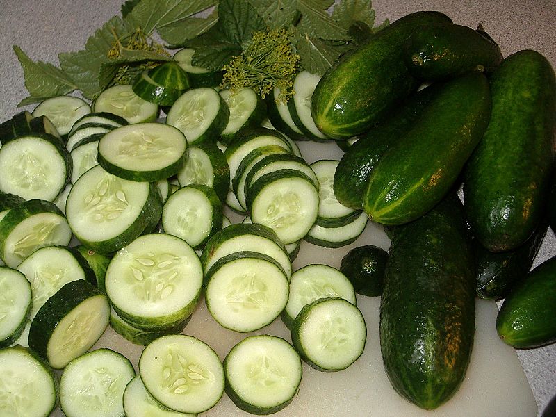 Weight Loss without Exercising by Cucumber Diet Unbelievable but True