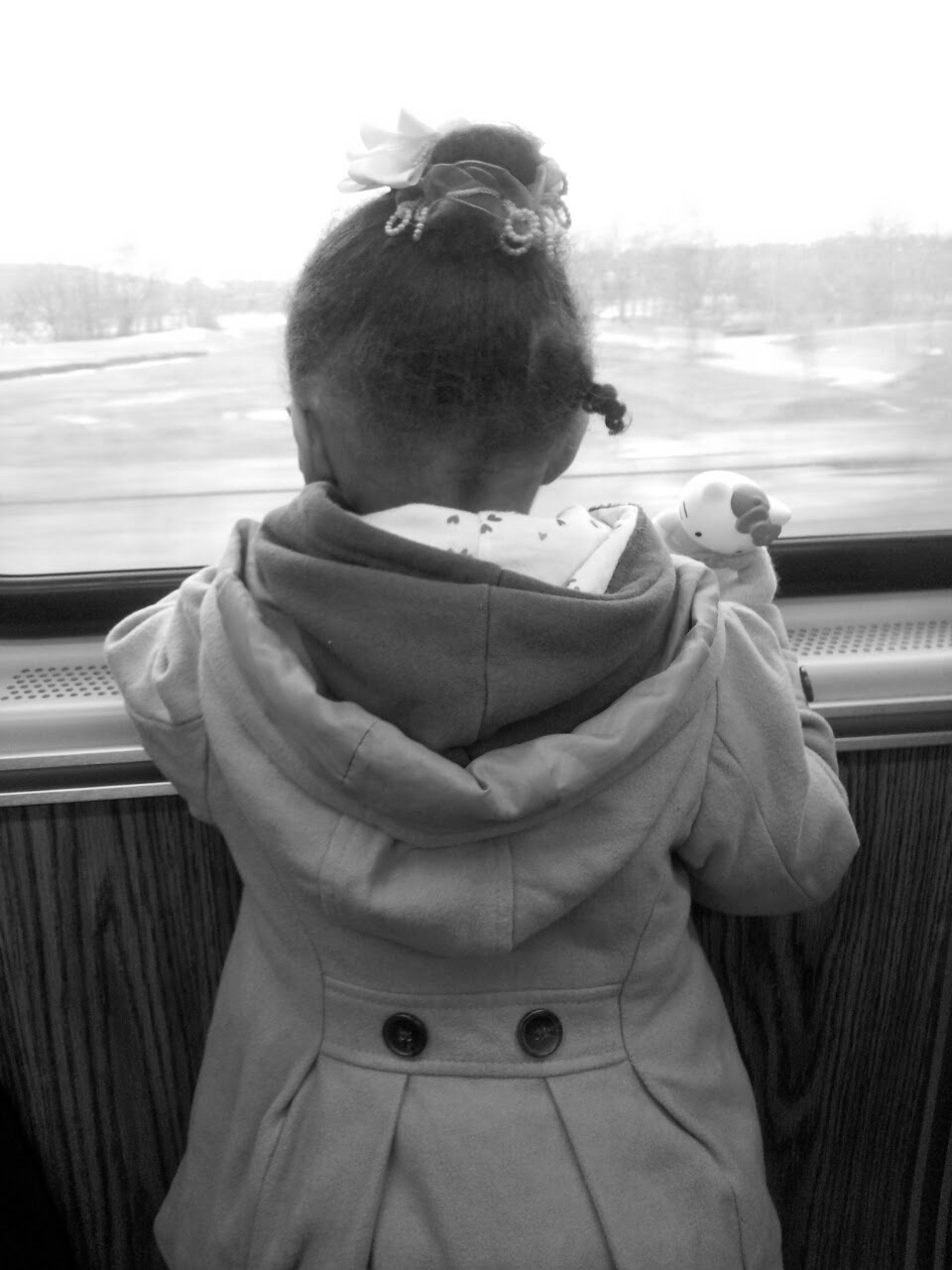 Sweet Home Chicago... Kidnapped By NYS Family Court... An Open Letter