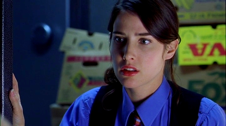 Cobie Smulders Movies And Tv Shows Movie and TV Cast Screencaps: Cobie Smulders as Tara in The Slammin