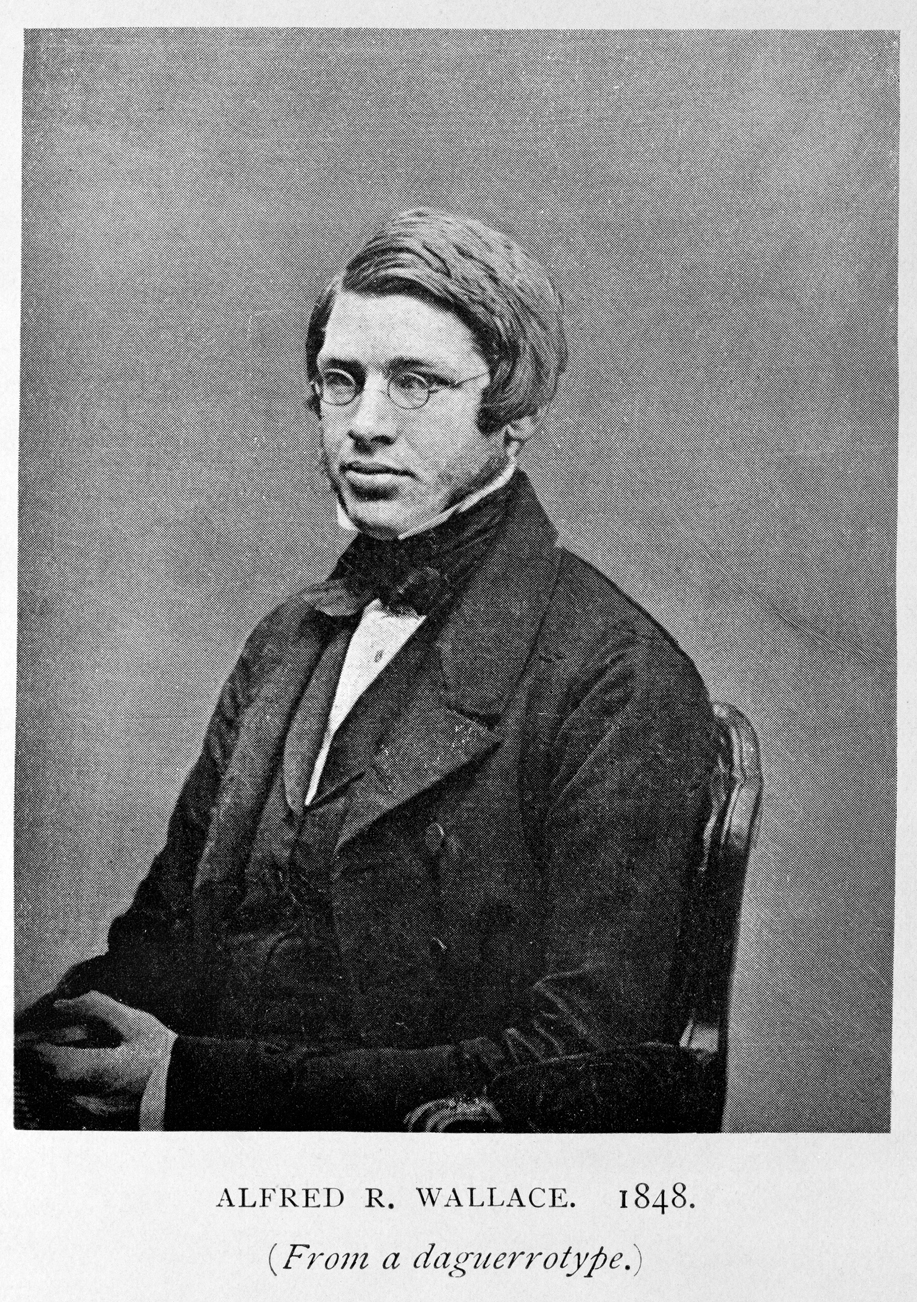 Out of the Box an invitation into nature Lyell, Darwin and Wallace (3)