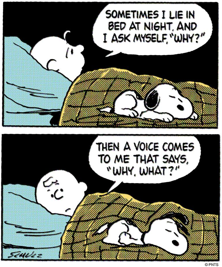 snoopycama.png (762×915)