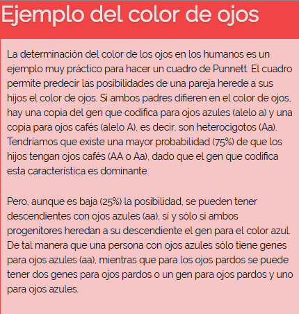 BLOG BITACORA DE UNA ESTUDIANTE VIRTUAL: Ciclo celular_y_Los cuadros de