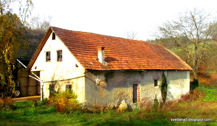 Mala vas Dolenjska