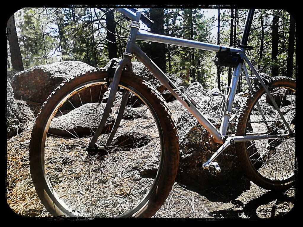 ibex trophy mountain bike