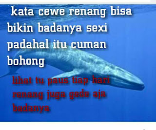 kata kata lucu banget bergambar terbaru bikin ngakak kata kata lucu banget bergambar terbaru bikin ngakak