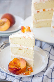 23 delicious peach recipes - from sweet to savory, here are 23 amazing ways to use that lush summer fruit!