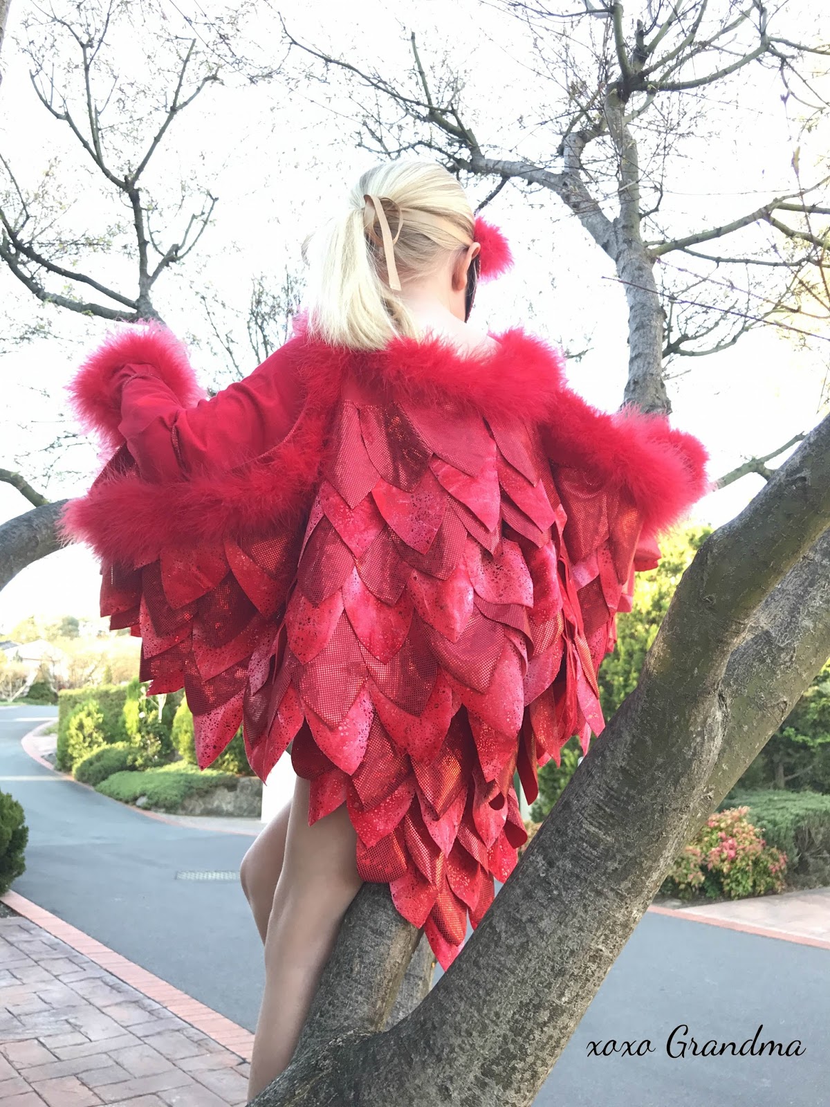 xoxo Grandma: Make a Child's Red Bird Costume