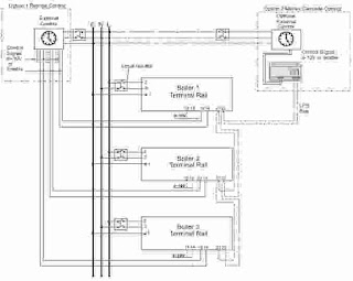 Download Purewell VariHeat Boilers Wiring Diagram PDF