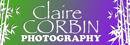 Claire Corbin Photography