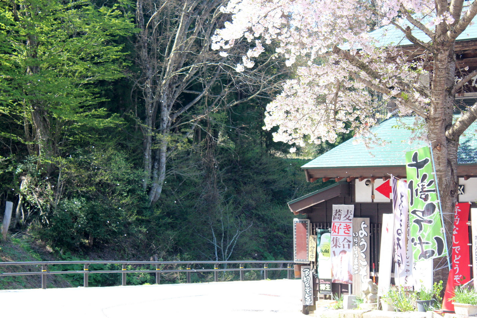 鉄暮らし雑録 酷道459号線と名残の桜