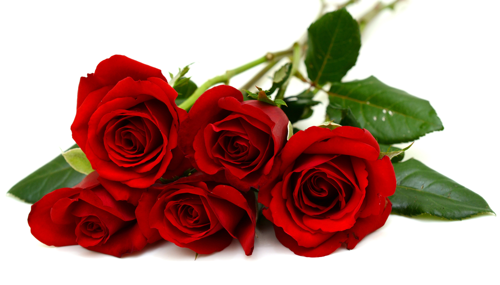 Vi rose. Roses Oranch. 6 Роз -3 белых три красных.