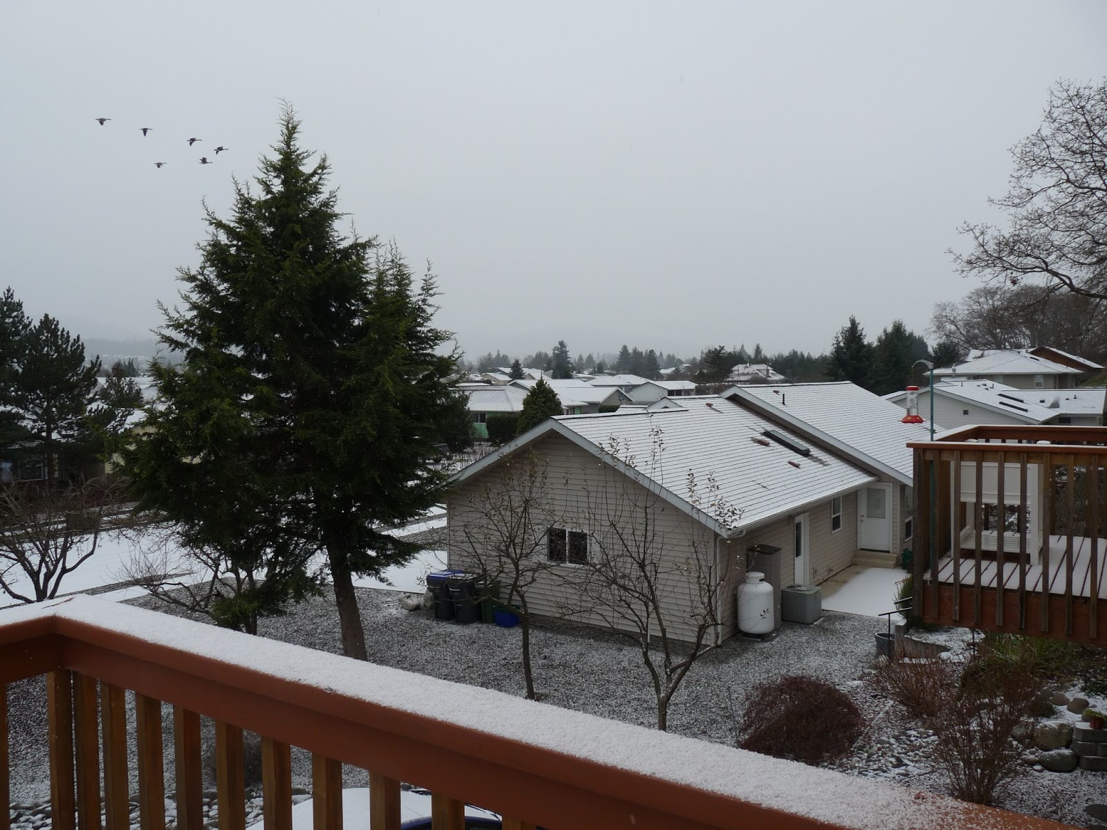 Sequim vacation rental Home for Sequim vacation