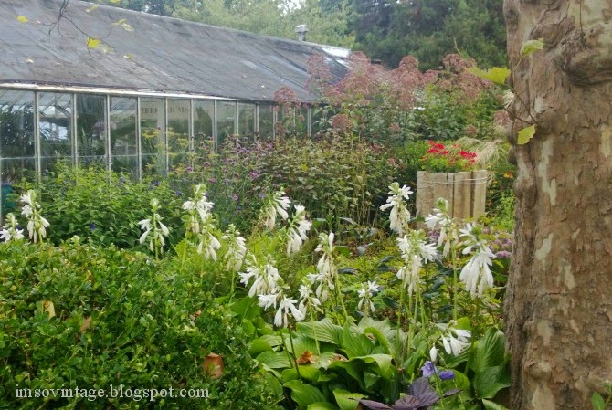 gardening perennial flowers greenhouse