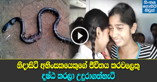 Snake bite kills child in Tissamaharama Snake bite kills child in Tissamaharama